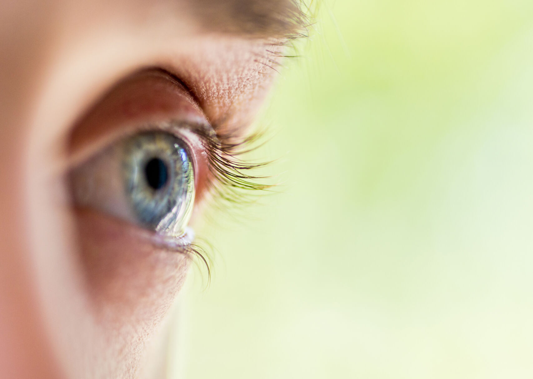 eye